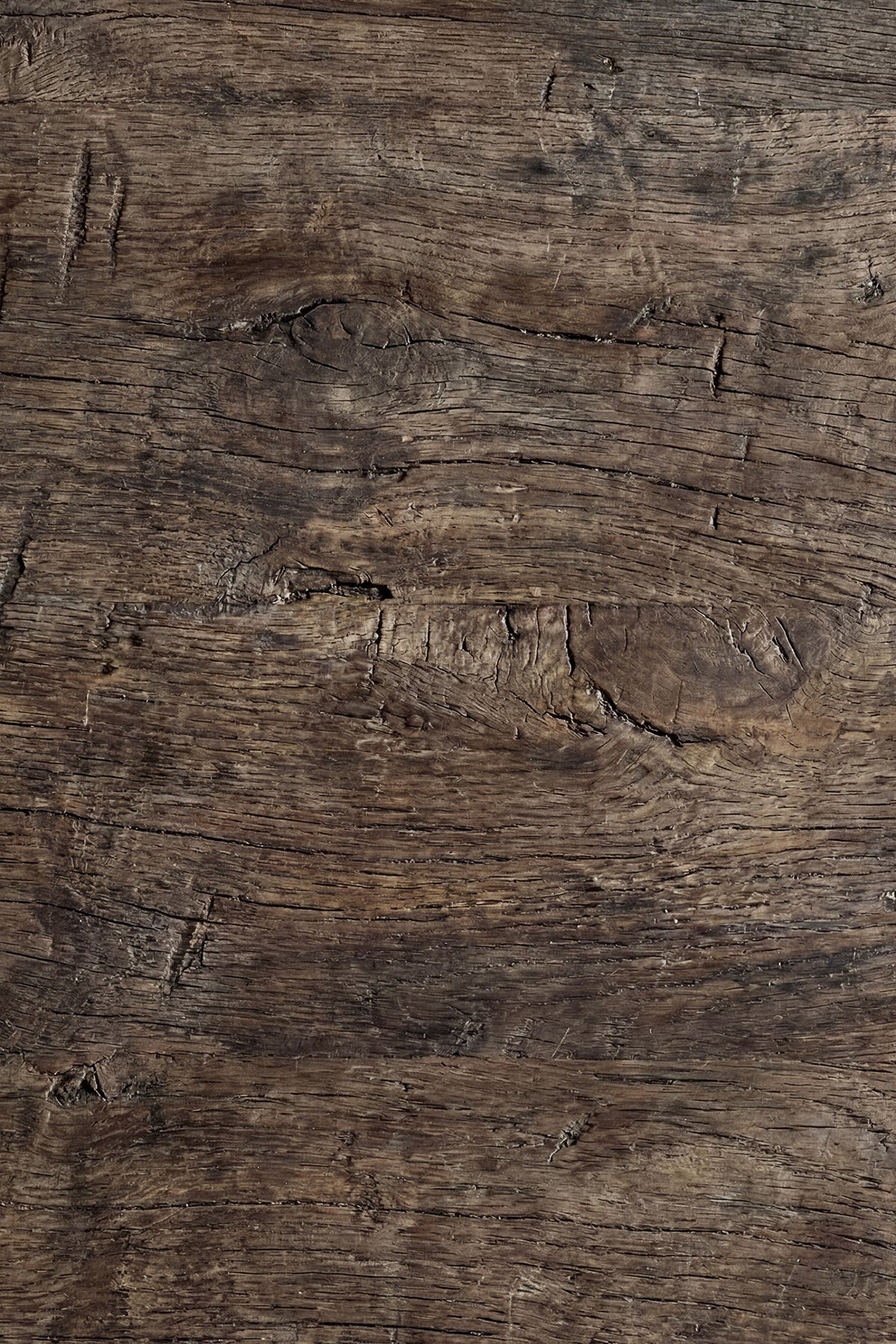Darkwood Ash